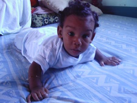 petit bohomme